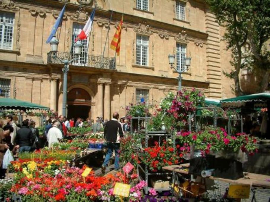 Charmant T3 Centre Historique, Parking Aix-en-Provence Kültér fotó